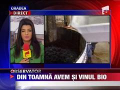 Noile norme ale Uniunii Europene permit producatorilor de vin organi