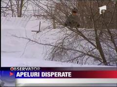 Observator de weekend