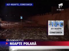 Nopate polara in Romania