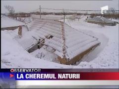 Observator 16 Weekend