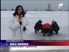 Zeci de pasari moarte de frig si foame pe litoral