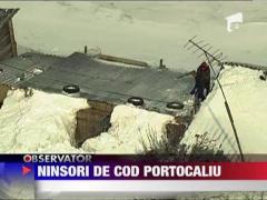 Cod portocaliu de ninsori si viscol