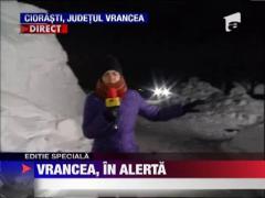 Ninsori de cod galben in Valcea