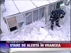 Observator de weekend