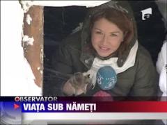 Calarasiul, sub cod galben de ninsori