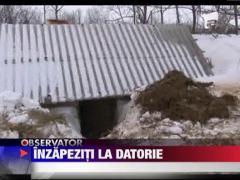 Judetul Ialomita a incremenit sub nameti!