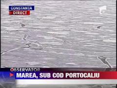 Marea a inghetat din nou la mal!