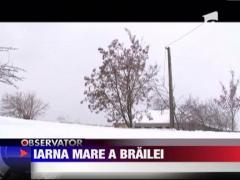 Insula Mare a Brailei este complet izolata!