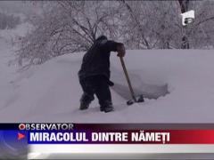 Buzau: 4 comune in stare de alerta