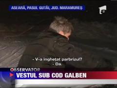 Cod galben de ninsori si viscol in sudul Romaniei!