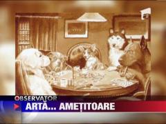 SUA: Tablouri inedite din hamei