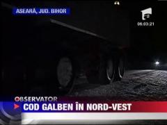 Cod galben in nord-vest