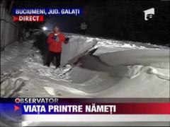 Viata printre nameti