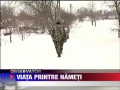 Observator de weekend