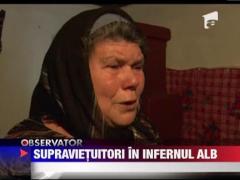 Supravietuitori in infernul alb