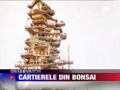 Opere de arta spectaculoase in jurul celebrilor copaci bonsai
