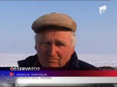 Animale moarte sub zapada