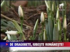 Cea mai lunga scrisoare de dragoste din lume