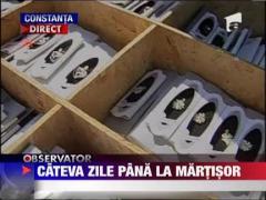 Mai sunt cateva zile pana la Martisor