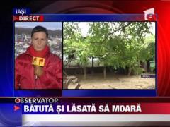 Batuta si lasata sa moara