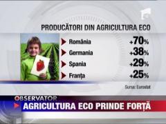 Agricultura ECO prinde forta