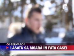 Update / Batuta si lasata sa moara