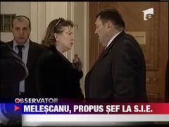 Melescanu, sef la S.I.E.