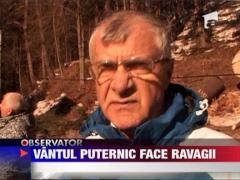 Toate instalatiile pe cablu de la Sinaia au fost oprite din cauza vantului puternic