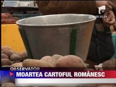 Cartoful romanesc putrezeste in depozite