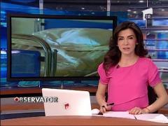 Primele echipe mobile de eutanasiere in Olanda