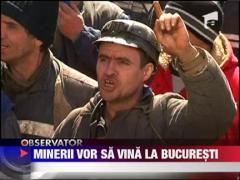 Minerii vor sa vina in Capitala!
