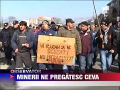 Minerii s-au imbrancit cu jandarmii
