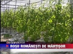 Rosii crescute cu apa termala