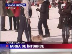 Iarna se intoarce