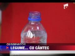 Legume muzicale intr-un restaurant din China