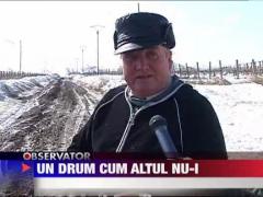 Drum judetean ca unul forestier