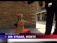 Un om al strazi si un motan si-au lansat cartea autobiografica