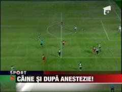 Cristi Borcea nu a avut voie sa vada meciul