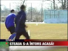 Steaua s-a intors Ghencea!