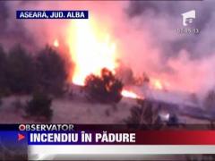 Opt hectare de teren au luat foc in Alba