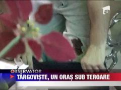 UPDATE / Razbunare plina de violenta