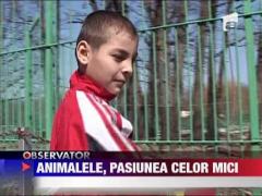 Observator de weekend