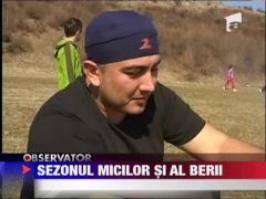 Sezonul micilor si al berii