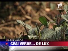 Ceai verde de lux