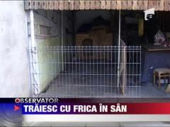 O familie din Arad traieste in teroare