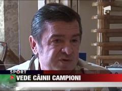 Dorin Mateut e convins ca 2012 e anul cainelui