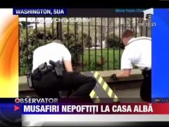 Invazie de ratuste la Casa Alba