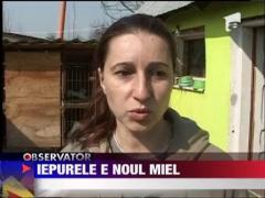 Carnea de iepure si de ied, alternativa pentru carnea de miel!