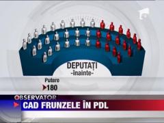 Sorin Frunzaverde paraseste PDL si trece la liberali