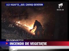 Zeci de hectare de vegetatie s-au facut scrum in Caras-Severin